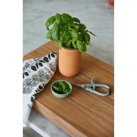 Modern Sprout Growing Gourmet Gift Set