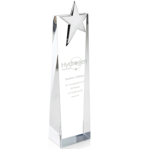 Zenith Award - Vertical Large