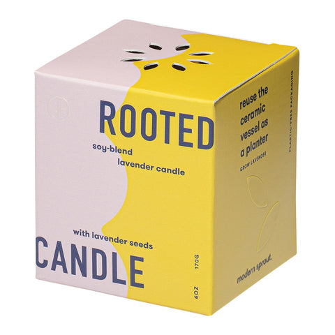 Modern Sprout Rooted Candle