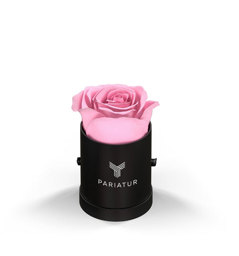 Vef le Mini Square forever roses