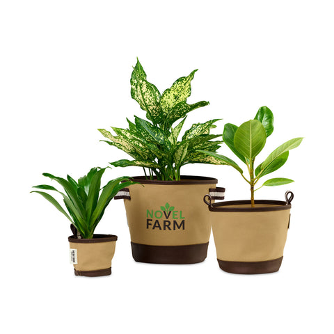 Heritage Supply™ Plant, Grow and Store Trio of Pots