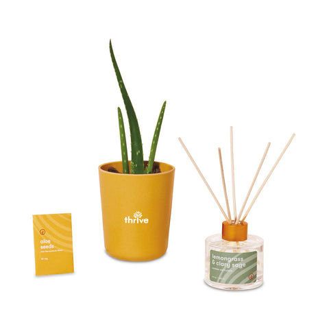 Modern Sprout® Find Balance Take Care Kit - Aloe